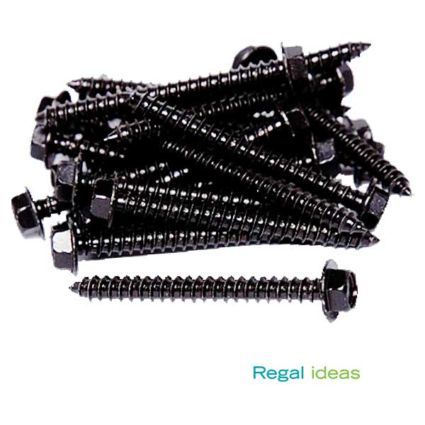 Regal 2-1/2" Lag Screws at The Deck Store USA
