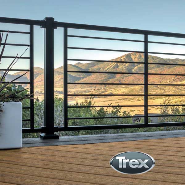 Trex Signature Rod Rail Black w/Black Rods at The Deck Store USA