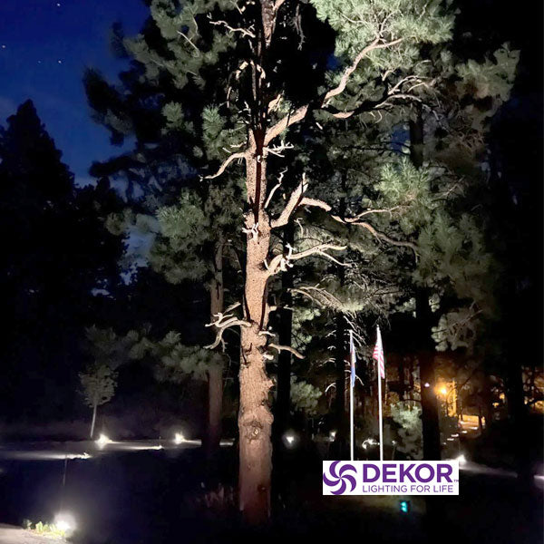 Dekor High Output Landscape Spotlight Lighting Trees