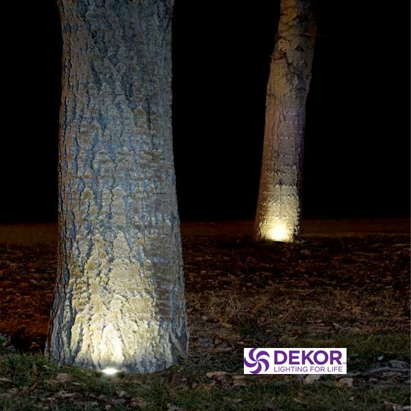 Dekor Puck Lights Shining On Trees
