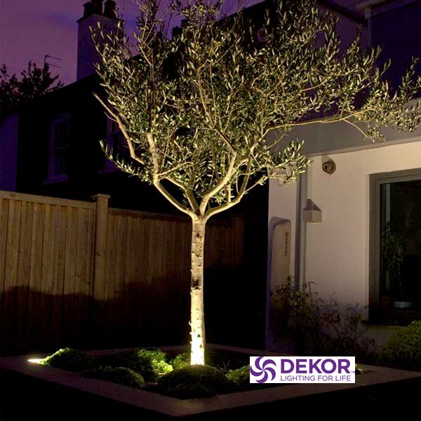 Dekor Puck Lights Shining On Tree