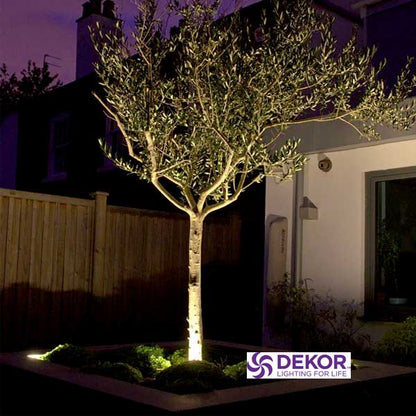 Dekor Puck Lights Shining On Tree